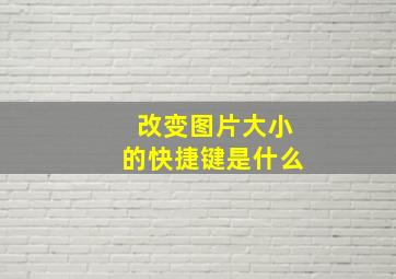 改变图片大小的快捷键是什么