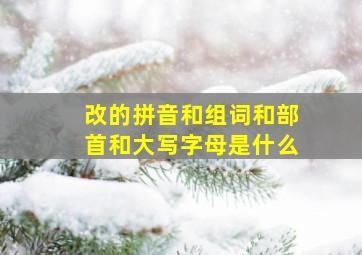 改的拼音和组词和部首和大写字母是什么