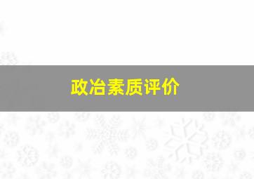 政冶素质评价