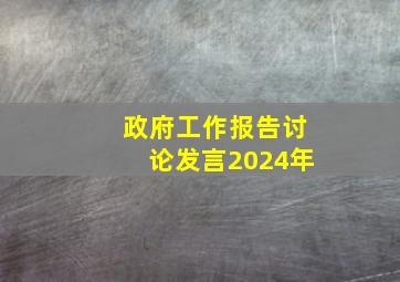 政府工作报告讨论发言2024年