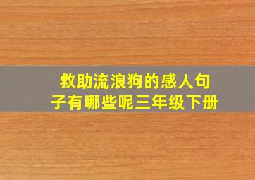 救助流浪狗的感人句子有哪些呢三年级下册