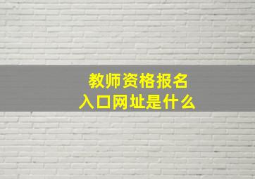 教师资格报名入口网址是什么