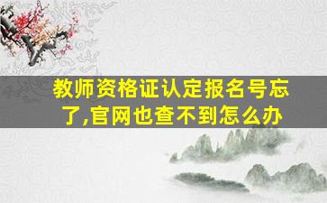 教师资格证认定报名号忘了,官网也查不到怎么办