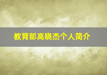 教育部高晓杰个人简介