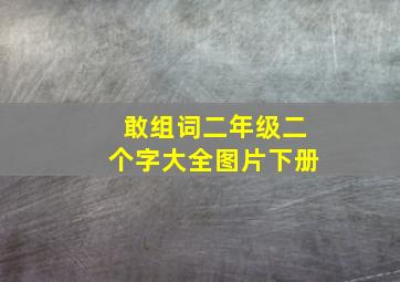 敢组词二年级二个字大全图片下册