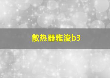 散热器雅浚b3