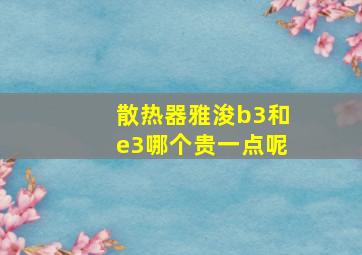 散热器雅浚b3和e3哪个贵一点呢