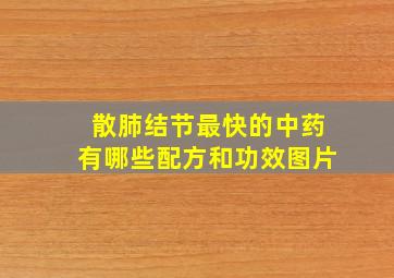 散肺结节最快的中药有哪些配方和功效图片