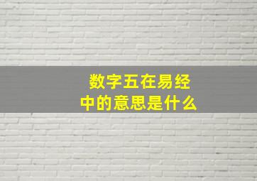 数字五在易经中的意思是什么