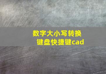 数字大小写转换键盘快捷键cad