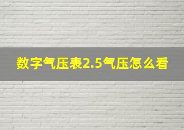 数字气压表2.5气压怎么看