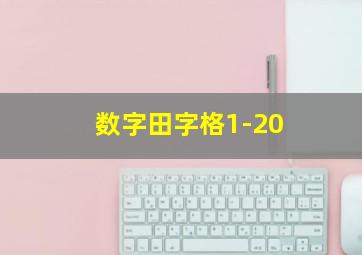 数字田字格1-20