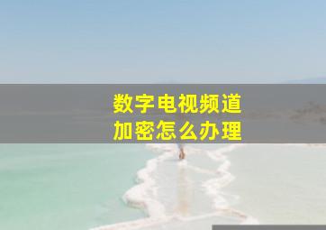 数字电视频道加密怎么办理