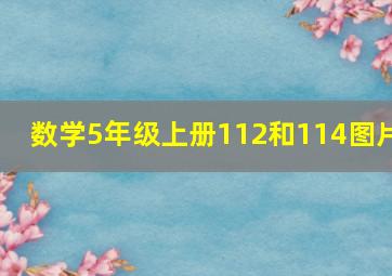 数学5年级上册112和114图片