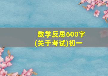 数学反思600字(关于考试)初一