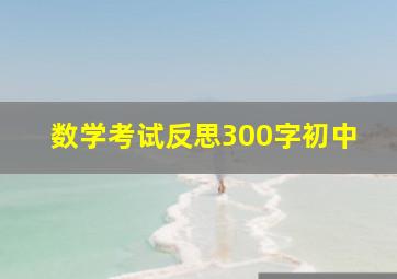 数学考试反思300字初中