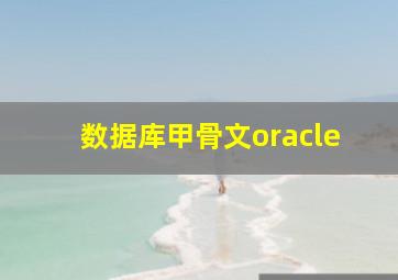 数据库甲骨文oracle