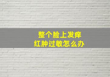 整个脸上发痒红肿过敏怎么办