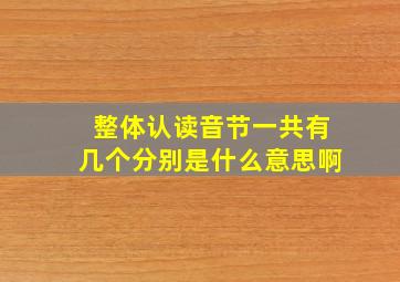 整体认读音节一共有几个分别是什么意思啊