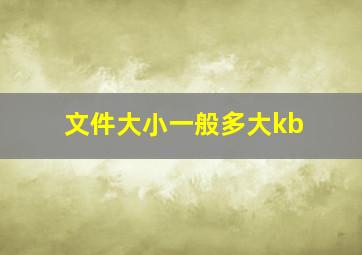 文件大小一般多大kb