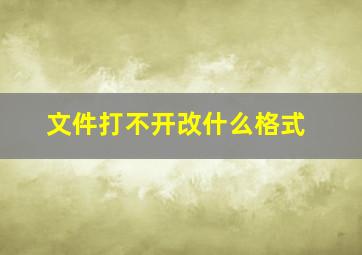 文件打不开改什么格式