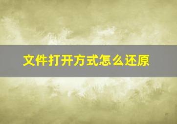 文件打开方式怎么还原