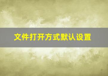 文件打开方式默认设置