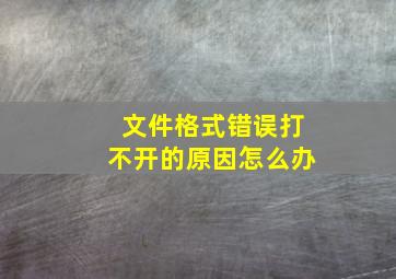 文件格式错误打不开的原因怎么办