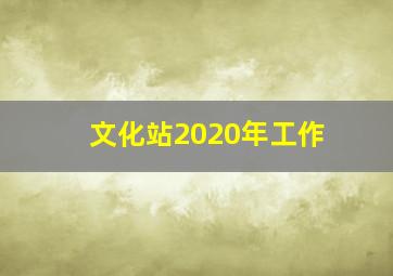 文化站2020年工作