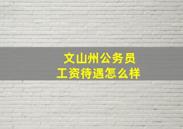 文山州公务员工资待遇怎么样