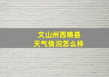 文山州西畴县天气情况怎么样