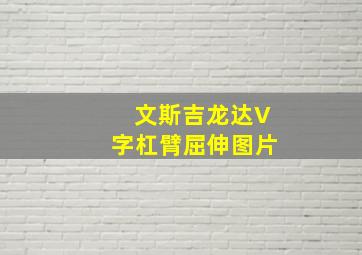 文斯吉龙达V字杠臂屈伸图片