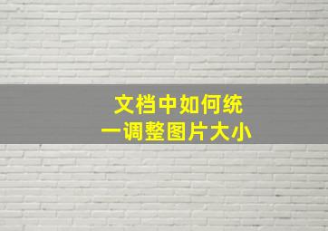 文档中如何统一调整图片大小