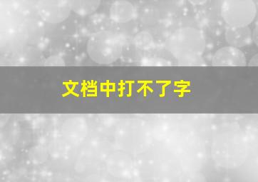 文档中打不了字