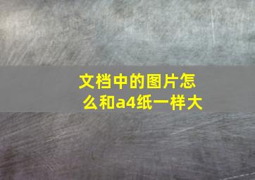 文档中的图片怎么和a4纸一样大