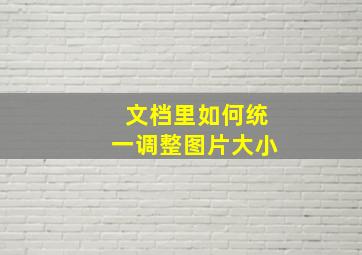 文档里如何统一调整图片大小