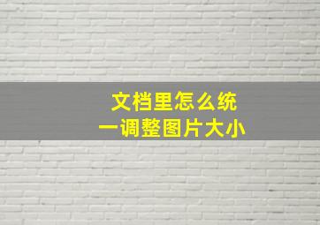 文档里怎么统一调整图片大小