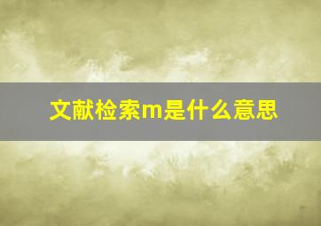 文献检索m是什么意思