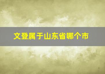 文登属于山东省哪个市