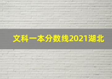 文科一本分数线2021湖北