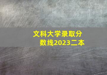 文科大学录取分数线2023二本