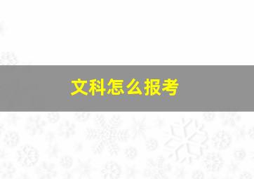 文科怎么报考