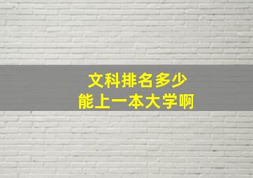 文科排名多少能上一本大学啊