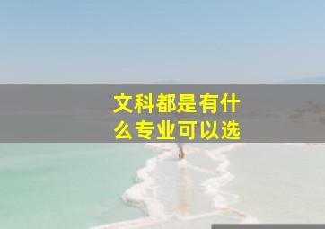 文科都是有什么专业可以选