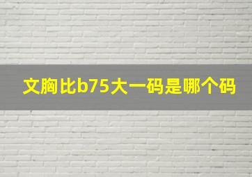 文胸比b75大一码是哪个码