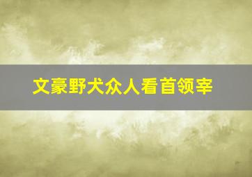 文豪野犬众人看首领宰