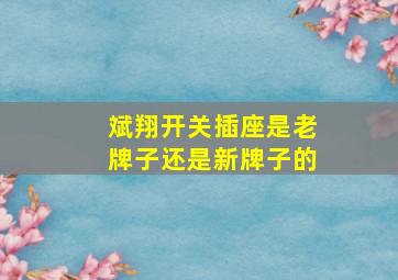 斌翔开关插座是老牌子还是新牌子的