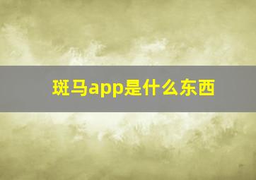 斑马app是什么东西