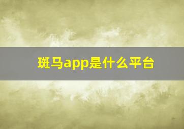 斑马app是什么平台