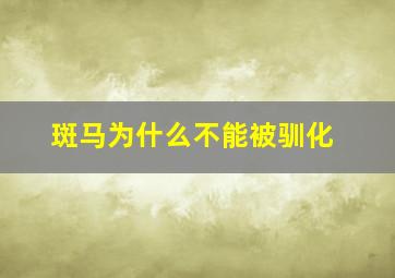 斑马为什么不能被驯化